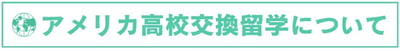 高校交換留学について